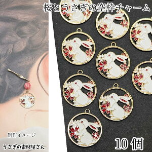 yXP{5{Iz{ő1,000~N[|I  `[ 27mm 10 bhn ԐF e  J[`[ a Gi `[ ANZT[p[c ̑fމ 