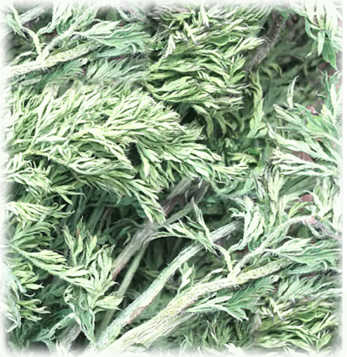 楽天市場】国産 無農薬 まるごと乾燥にんじんの葉っぱ 20g : うさぎ舎