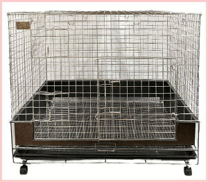 AEgbg KAWAI RtH[g 80 ST P[W