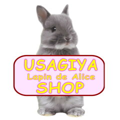 うさぎ舎通販部Lapin 楽天市場店