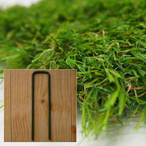 Y lHŗp Œ  lH Ő O n y OEh  K[f K[fjO {H H diy y  } ڗɂ