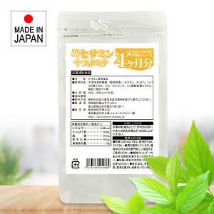 ZT~ Tvg Ӗ S}  ۂ Xb| cȏ }J AfXlQ h{f e S S Y {  nH@ ZT~Tv ۂ co