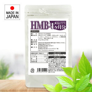 HMB Tvg _CGbg g[jO W ؃g ^ X|[c ̎b ؓ BCAA A~m_ ς ̌^ tBbglX HmB  e S S HMBJVE 哤ς Z