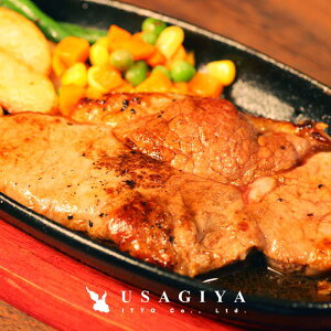 T[CXe[L T[C  Xe[L n `h Ⓚ Xe[L  o[xL[ BBQ S  180g 5 Zbg