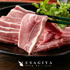 Jr t V[gu 1kg  Ɩp ƒp o[xL[ BBQ Ă tJr XCX IQF VN Nx ` 