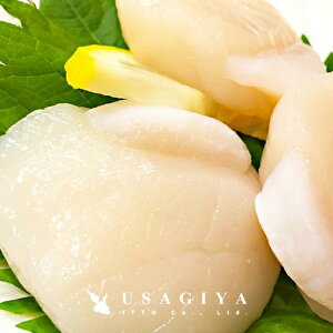 z^eL 1kg kCY hg   L VN 󂠂   }Ⓚ Â Â  z^e̊L AW T_