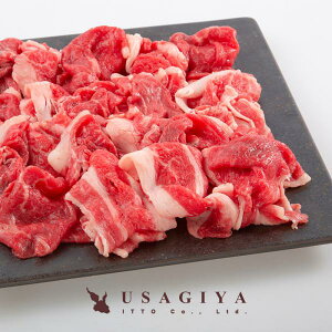  ؂藎Ƃ 500g XCX  A4Nȏ A4 uh  o Y јa  Ⴊ uߕ Ⓚ