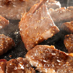 Jr Ăp 500g ē  hX^Ђ  Jr MBX ԓhq  sh o Ԑg o[xL[ BBQ Ⓚ