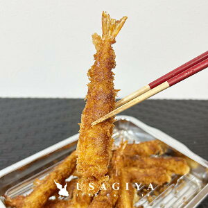 GrtC  Ⓚ 傫 4L TCY CVtC {[_  g邾 ς уtC  ٓ 10C 10