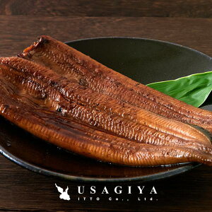 Ȃ Y Ă EiM YȂ V Ȃ̊Ă 2 Y ^t 傫  TCY {Mtg ܎