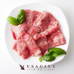 y撅zyő2000~OFFI12/26܂Łz R` Jr XCX a Y  Jr A5N  uh o Ă g Ԑg Ă Ă   500g