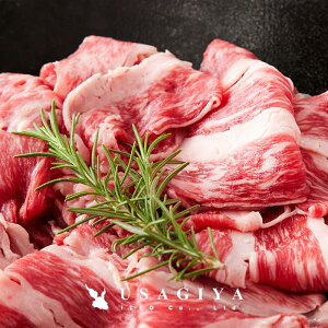 R` ؂藎Ƃ A5N A5 a  500g ~   ߍׂ Y uh јa  Ⴊ uߕ ē