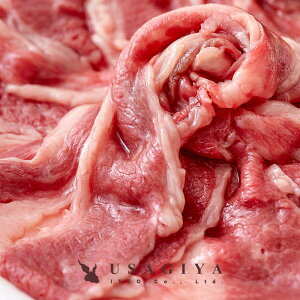 y撅zyő2000~OFFI12/26܂Łz _ˋ _˃r[t a ~ јa Y A4 o XCX Jr Ԑg TV ~ g  o Ԃԓ Ă 