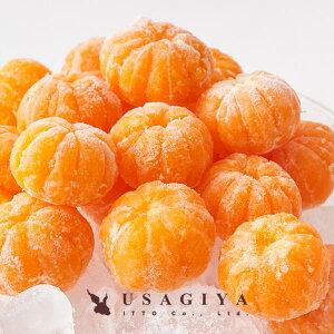 Ⓚ݂ ނ 500g 󂠂 傫s I   ~J Ⓚ Ⓚt[c Q FaY Â Ȃ  R