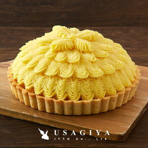 u ^g P[L XC[g|eg ܂ Tc}C u^g uP[L 5 z[ zCbvN[ Ⓚ