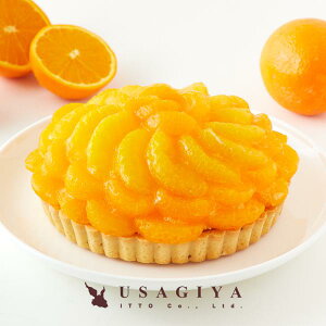 IW^g ݂^g ^g IWP[L ݂P[L 5 z[ TCY Ⓚ X|W zCbvN[ a LO