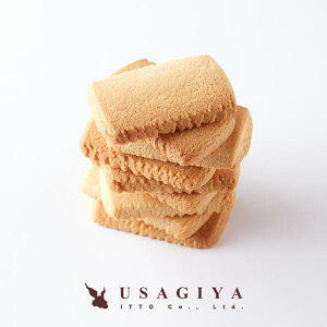 o^[NbL[ 󂠂 NbL[ kCYo^[  450g TNTN    A 킯 Vv o^[NbL[