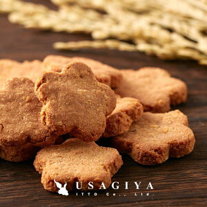 NbL[ NbL[ NbL[ 󂠂  _CGbg  ĕ Ă񂳂  Y NbL[ rXPbg