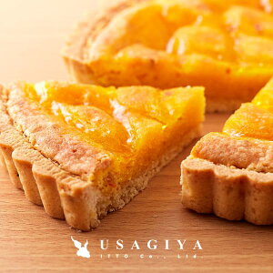 ^gP[L 5 z[ P[L IW   ۑsgp lHÖsgp rXL[n W Î_ς  |Xg