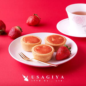 ^g C`S^g 䕃^g Xgx[^g ^gP[L Ȗ،Y ƂƂ W zCg`R  mَq