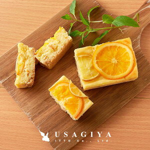 `[YP[L P[L IWP[L N[`[Y ˓ʏ` kCYo^[ ֐؂ IW NbL[n 2{Zbg