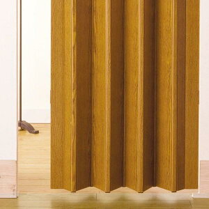 plhA I[_[ XChhA AR[fBIhA AR[fBIJ[e plJ[e Ԏd؂ ډB ؖڕ ؖڒ  DIY t ݒu t ȒP  tH[ 