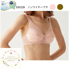 【送料無料】グンゼ(GUNZE) 軽ブラ ノンワイヤーブラジャー（M/ L/ LL）レディース 女性 下着 肌着 乾きやすい 軽い しっかり 包む ホールド ノンワイヤーブラジャー レディース 年間 軽ブラ らくちん 軽い 薄い 速乾 乾きやすい 女性 婦人 肩紐広め フルカップ ストレッチ