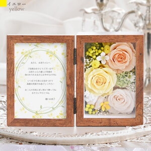 ʐ^ 킢  jd d a bZ[W EGfBO vU[uht[ uU[h tHgt[