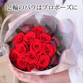 プロポーズ 赤 バラ 薔薇 12輪 花束 プリザーブドフラワー ブリザード ギフト 誕生日 バレンタイン 婚約祝い 結婚祝い 出産祝い 卒業のお祝い 就職のお祝い就職のお祝い昇進のお祝い 合格のお祝い 開店祝い開院祝い バラ 花 ギフト フラワーアレンジメント