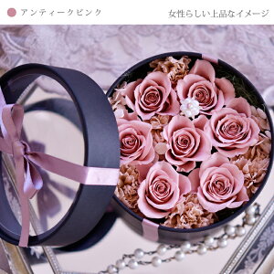 a ̓ o^C j j oYj Ƃ̂j AÊjAÊjîj îj JXjJ@j o  Mtg vU[uht[ u