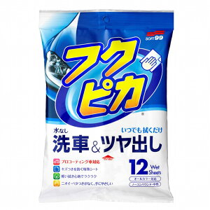 \tg99 soft99 J[pi  bNX co  \tg99 tNsJ 12 Ɛ@ȒP