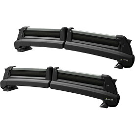 PIAA Terzo(テルッツォ) スキー・スノーボードキャリア TULIPA-G4 両側開き 盗難防止機能付 シルバー