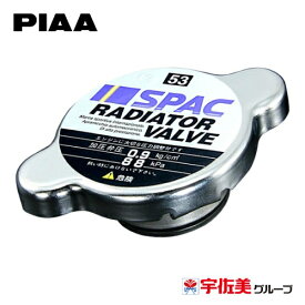 【期間限定5%OFFクーポン】PIAA ラジエーターバルブ レギュラータイプ シルバー