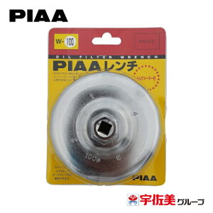 QP3{ PIAA ICtB^[p Jbv^` gN[^[t 1 W100