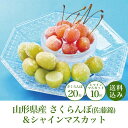 200円OFFクーポン お中元 ギフト 2025 山形県産 冷凍さくらんぼ(佐藤錦)＆冷凍シャインマスカット 2種20個入 御中元 夏ギフト フルーツ 詰め合わせ サクランボ