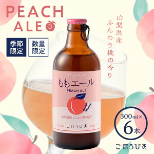 ʌ قтG[r 300ml 6{   AR[ G[   R  Lv 