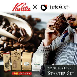 Kalita J^ R[q[~ oGeBZbgi~KH-10 BKE J^W[JbvER[q[2e100gj oGeBZbg R[q[   JtF