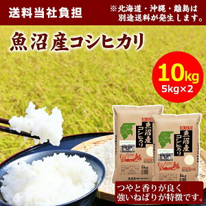 �y�ߘa7�N�Y�z�c���č� �����Y�R�V�q�J�� 10kg(5kg×2��) �� ���� ����