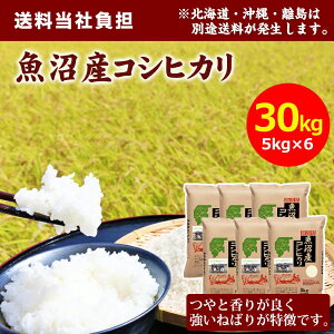 yߘa7NYzcč YRVqJ 30kg(5kg×6)   