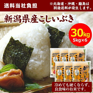 �y�ߘa7�N�Y�z�c���č� �V���Y �������Ԃ� 30kg(5kg×6��) �� ���� ����