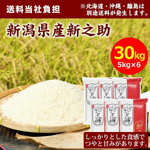 ゲリラP3倍 【令和7年産】田中米穀 新潟県産 新之助 30kg(5kg×6袋) 米 精米 お米