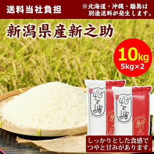 ĎGcčVYVV10kg5kg×2