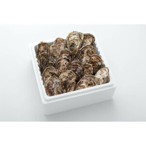 Ly kt L CY A~XC kty 2kg (12`16