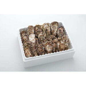 Ly kt L CY A~XC kty 3kg (18`24