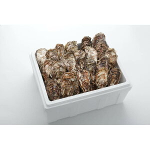 Ly kt L CY A~XC kty 4kg (24`32