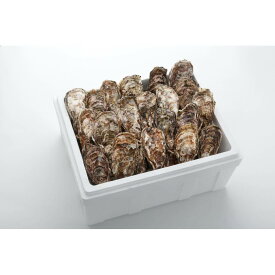 広島牡蠣 殻付 広島 海産物 アミスイ 殻付牡蠣 5kg入 (30〜40個