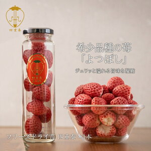 ڂ100 t[YhC ldt 1{ ېit@[ 