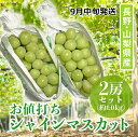 200セット限定・ 9月中旬発送 お値打ち品 シャインマスカット 長野県・山梨県産 約1kg 2房 秀品 クール便 丸進青果セレクト 葡萄 ぶどう マスカット お得 限定品 フルーツ 旬 季節もの