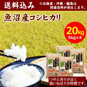 yߘa7NYzcč YRVqJ 20kg(5kg×4)   Y V CX  20kg V