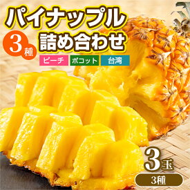 旬のパイナップル3種詰め合わせ ピーチ・ポコット・台湾 パイン ぱいん パイナップル ぱいなっぷる 台湾パイン 甘い